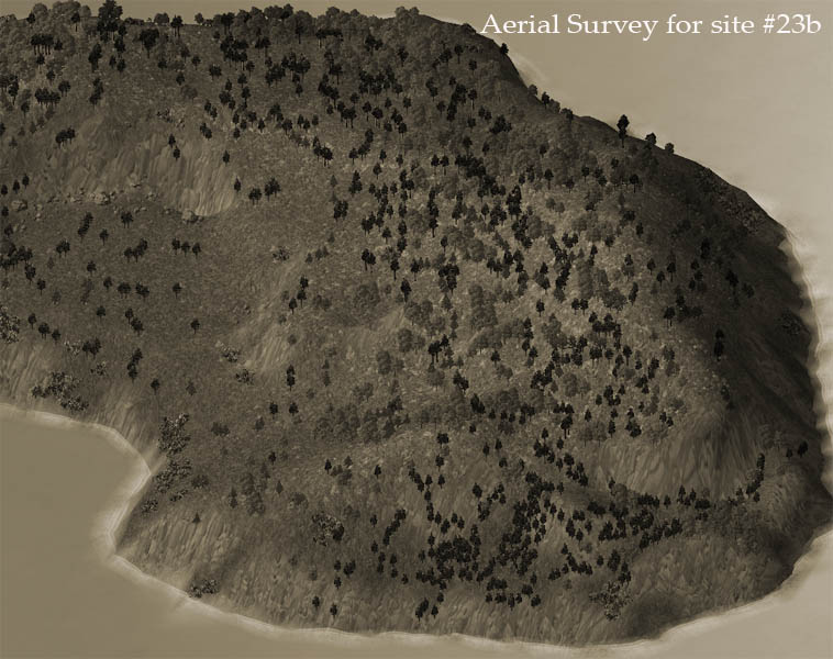 survey1.jpg